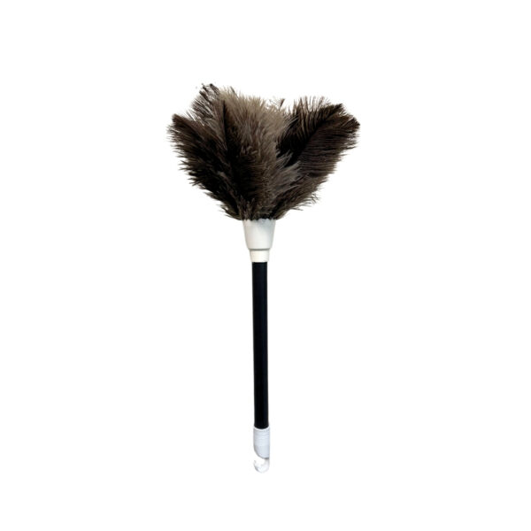 ESPANADOR DE PENA CLEAN 25